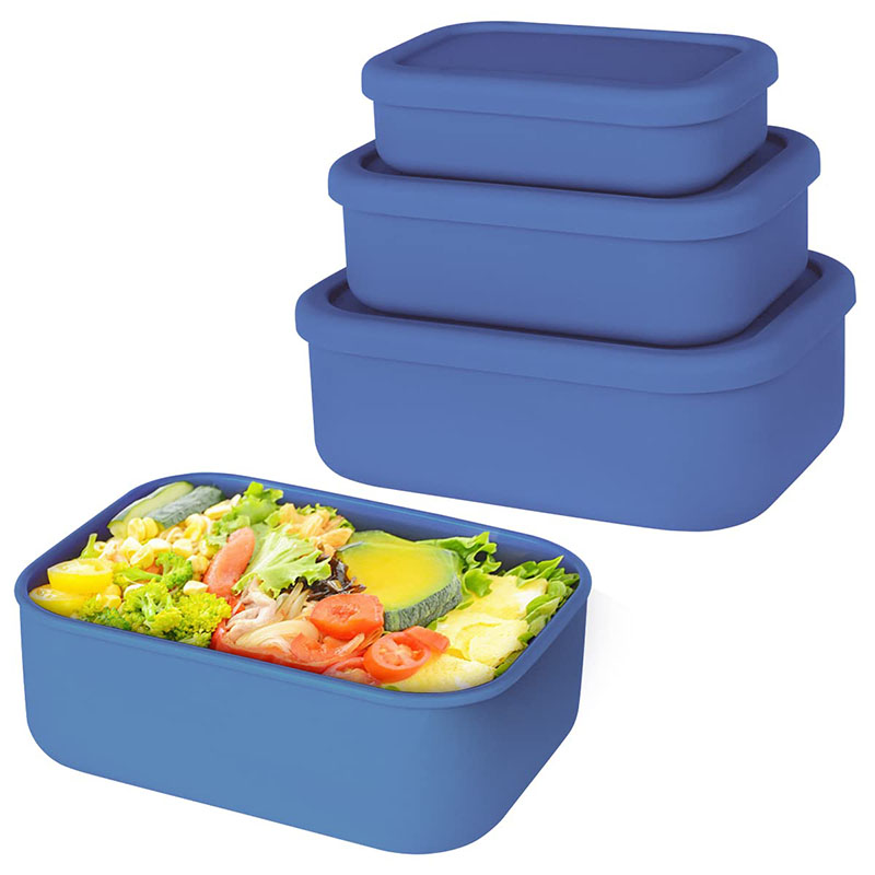 Auslaufsichere Bento-Lunchbox, – Meal Prep Meal Ideas Bewertung und Preis