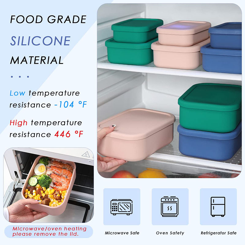 Auslaufsichere Bento-Lunchbox, – Meal Prep Meal Ideas Bewertung und Preis