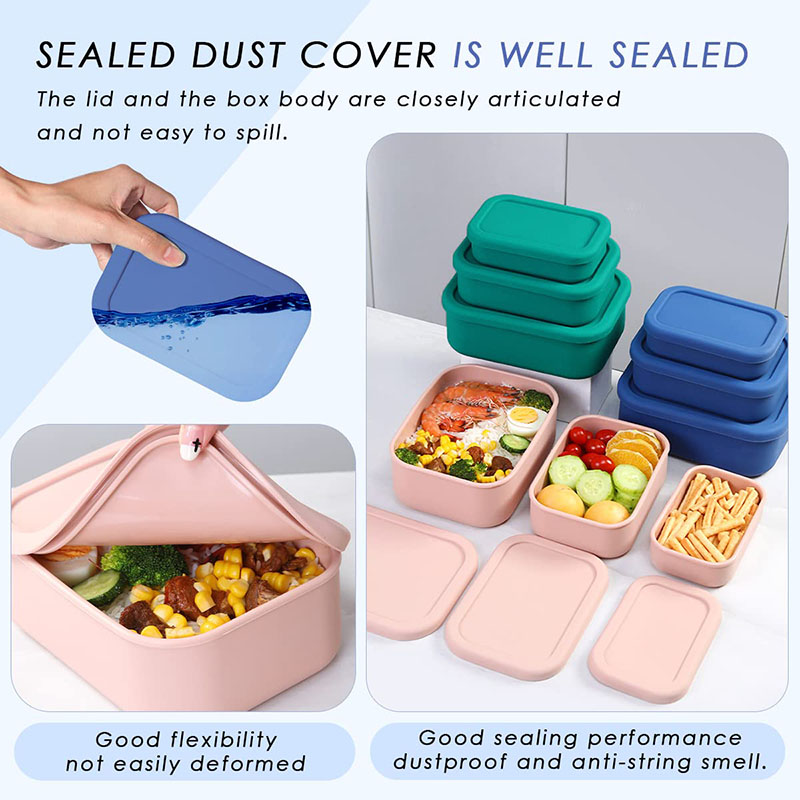 Auslaufsichere Bento-Lunchbox, – Meal Prep Meal Ideas Bewertung und Preis