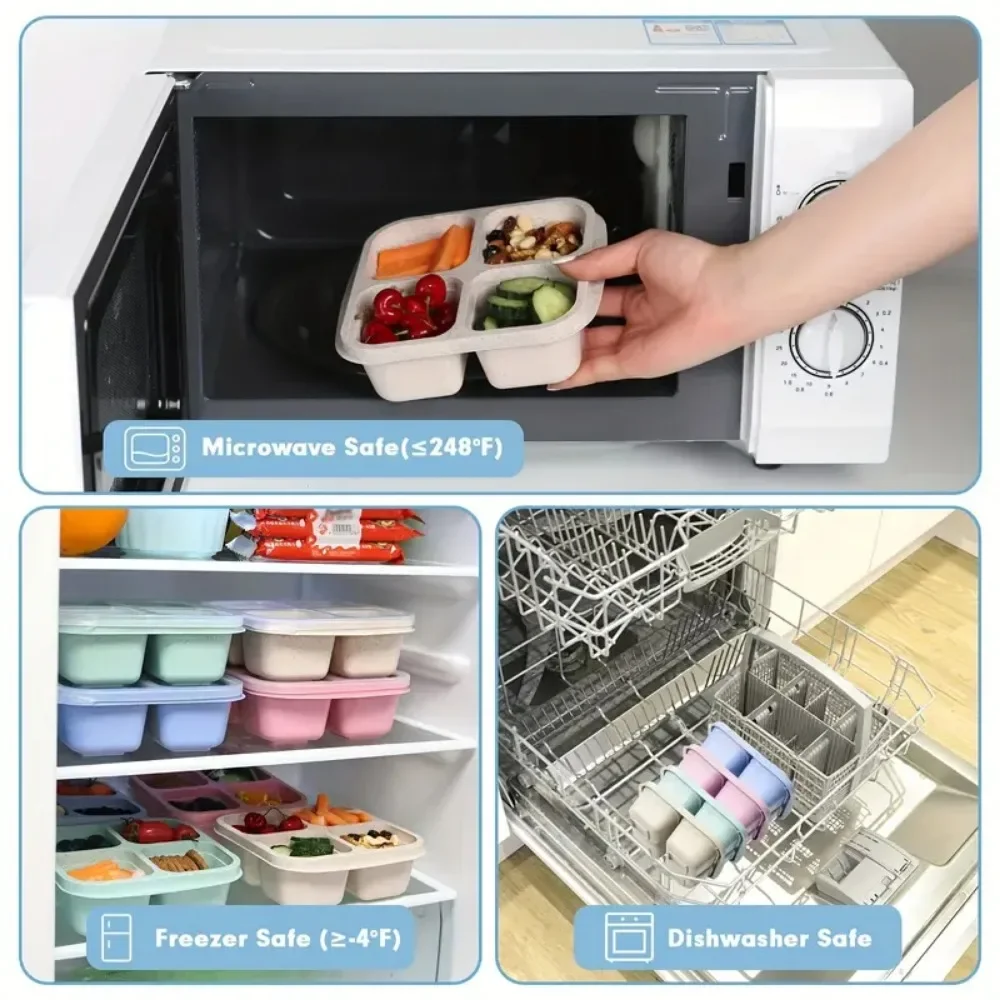 4 Gitter Snack box für Kinder  – Meal Prep Meal Ideas Bewertung und Preis